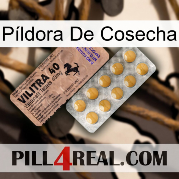 Píldora De Cosecha 41.jpg